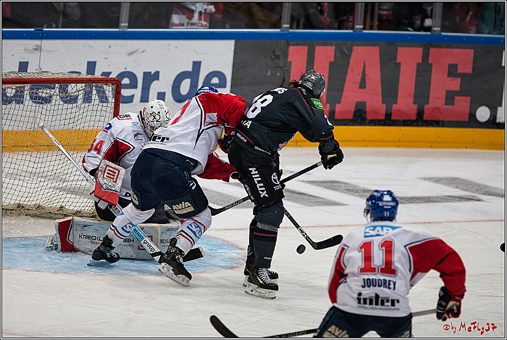 DEL, Koelner Haie - Adler Mannheim, 05.02.2017